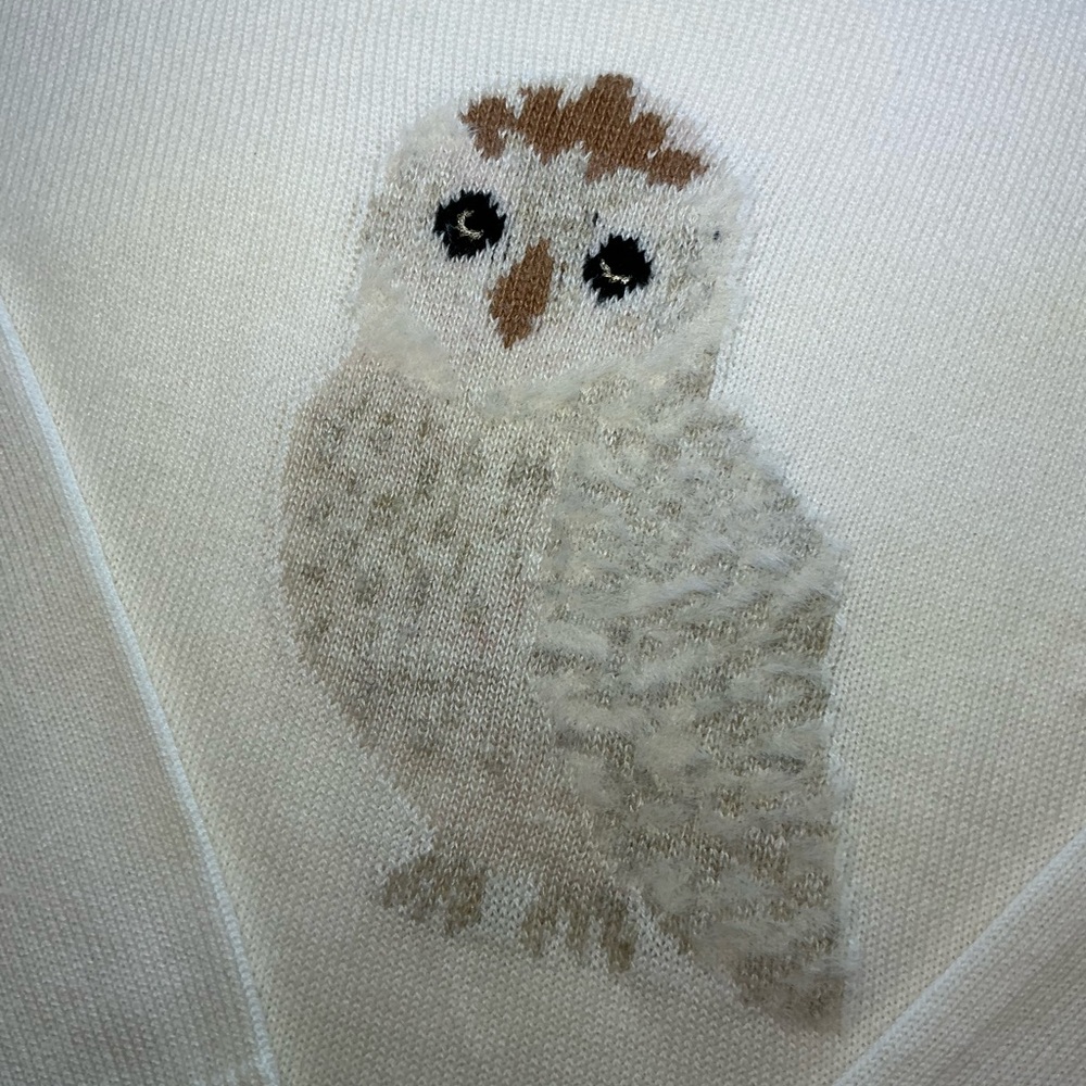 Ann Taylor LOFT Owl Cream Crewneck Sweater women’s size Large - Picture 4 of 9